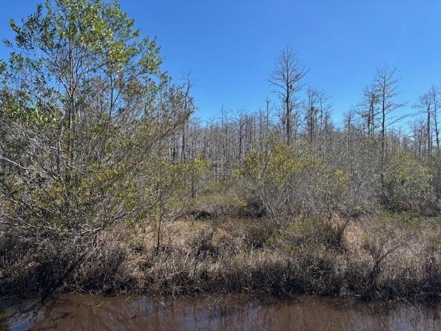 0 Holopaw Groves Road, Floride 34772, États-Unis