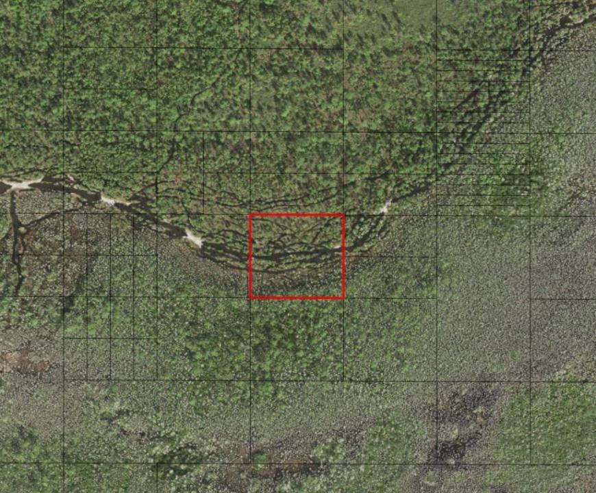 0 Holopaw Groves Road, Флорида 34772, Соединенные Штаты