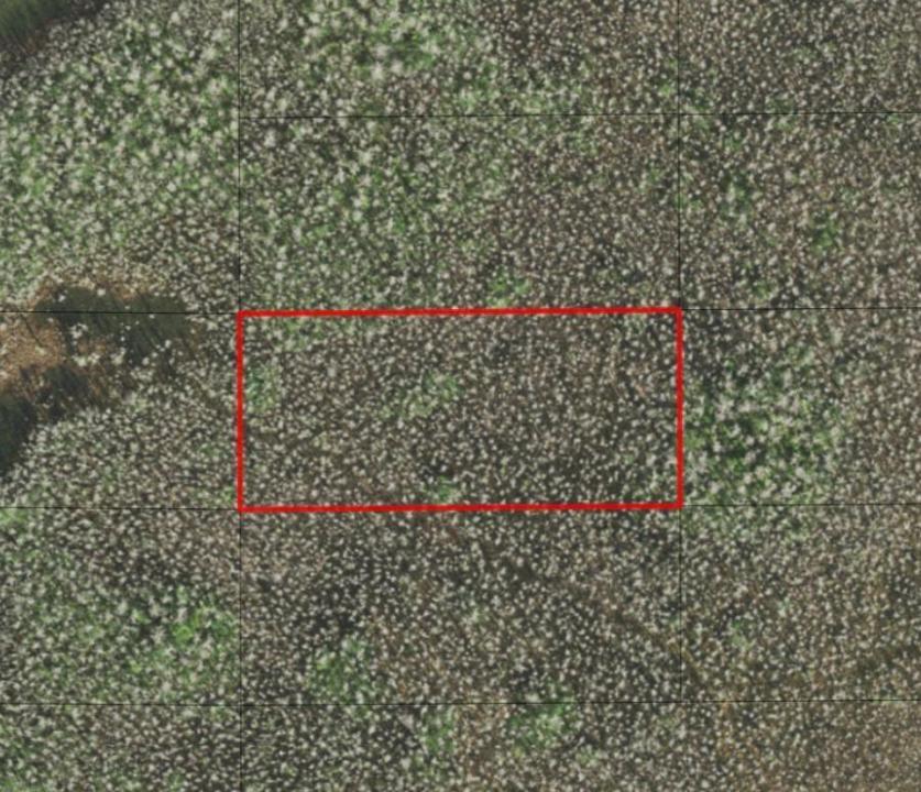 0 Holopaw Groves Road, Florida 34772, USA