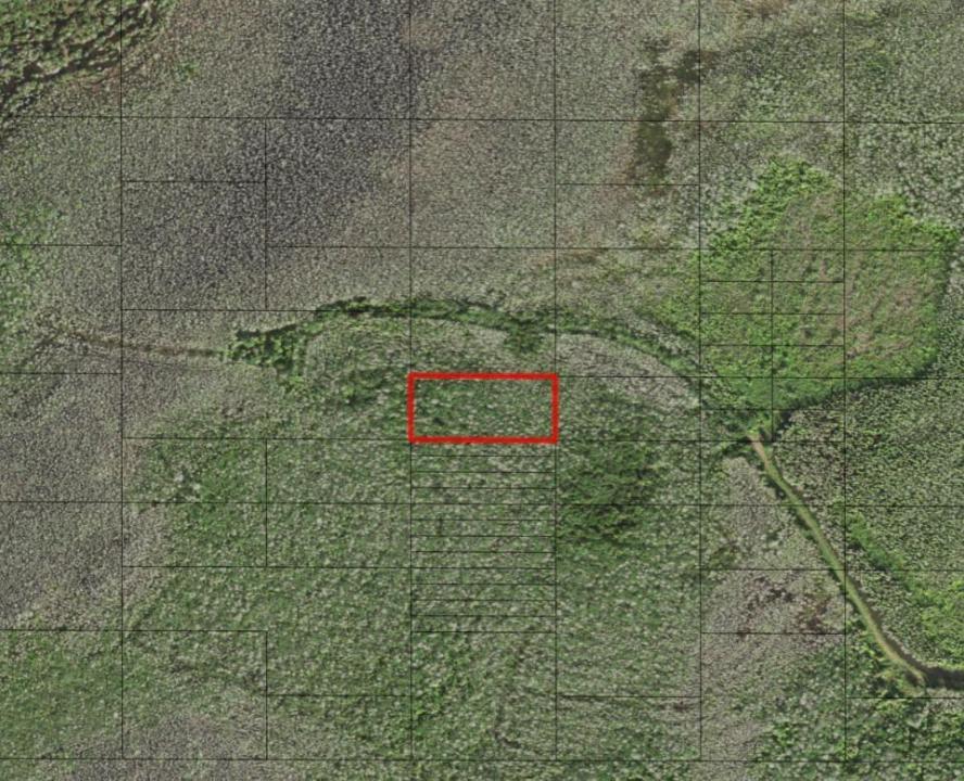0 Holopaw Groves Road, Floride 34772, États-Unis