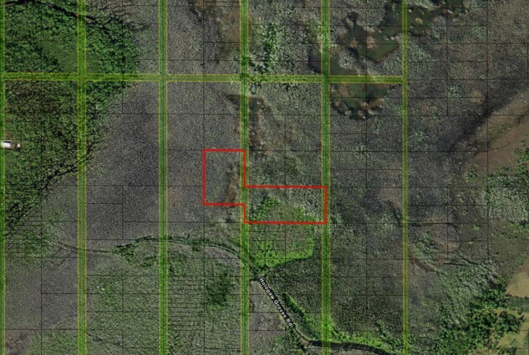 0 Holopaw Groves Road, فلوريدا 34772, الولايات المتحدة