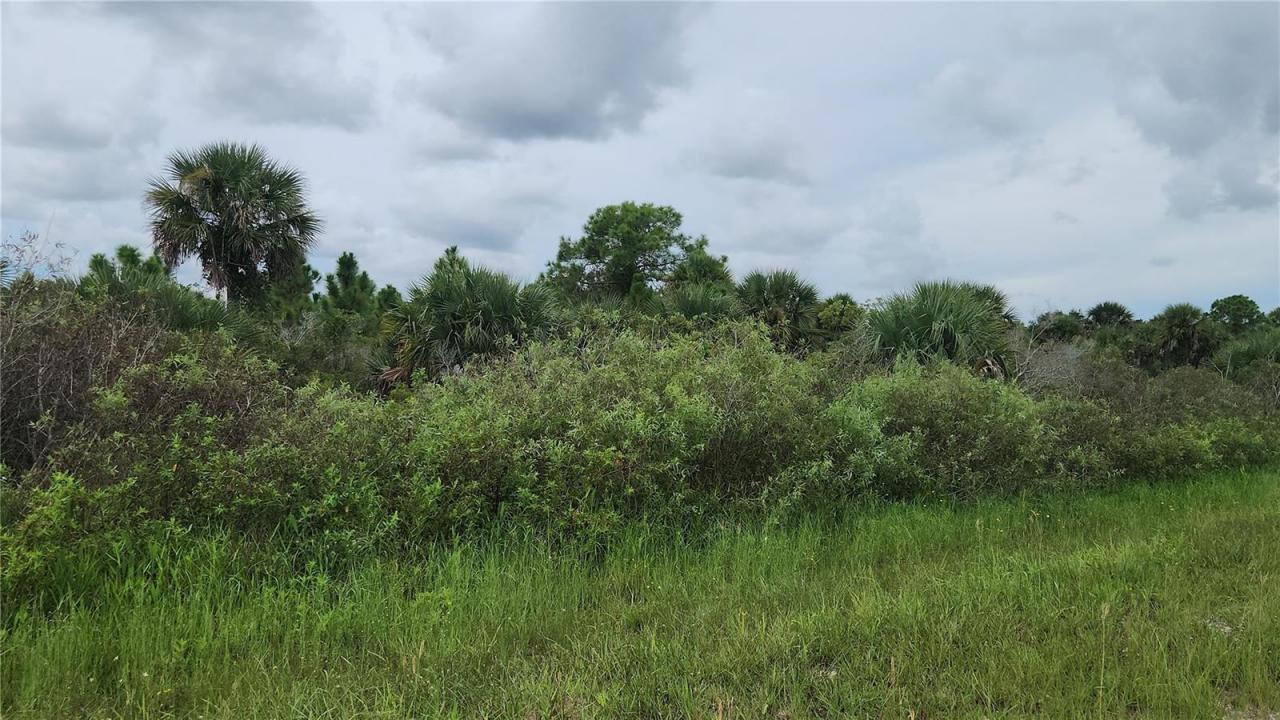 14988 NW 316th Street, Okeechobee, Florida 34972, Stati Uniti