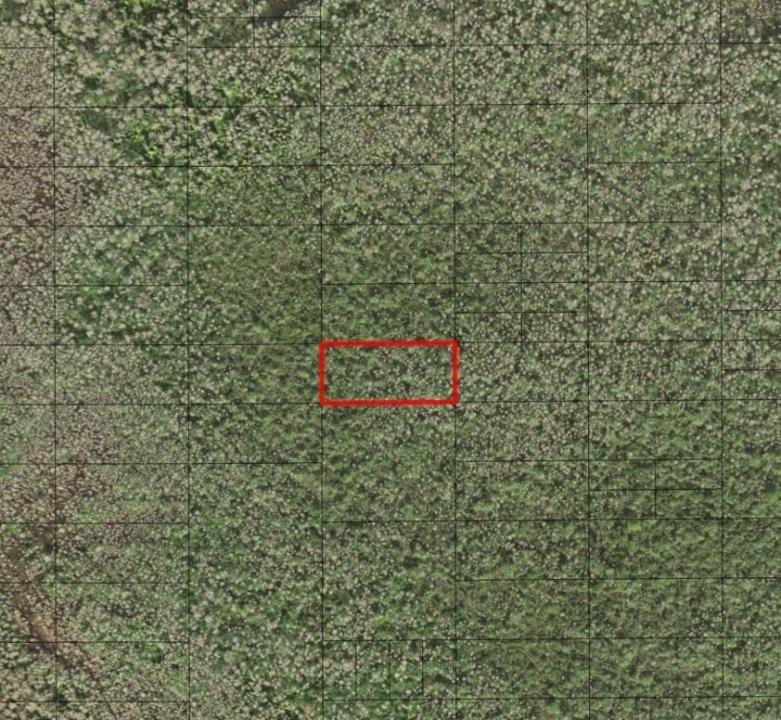 0 Holopaw Groves Road, Florida 34772, Stati Uniti