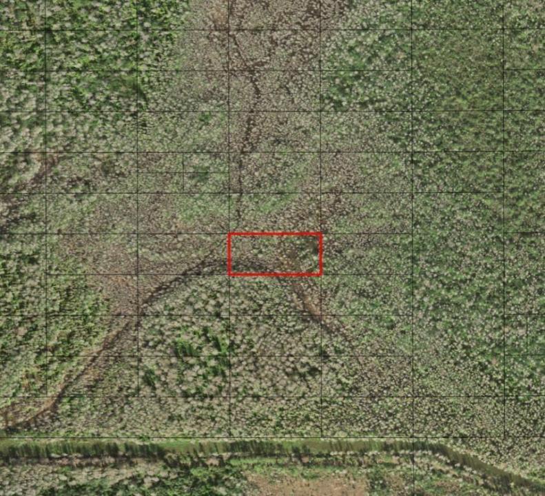 0 Holopaw Groves Road, Florida 34772, Stati Uniti