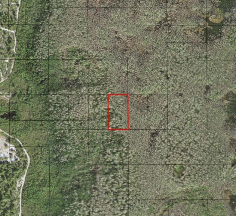 0 Holopaw Groves Road, Floride 34772, États-Unis