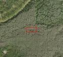 0 Holopaw Groves Road, Florida 34772, Stati Uniti