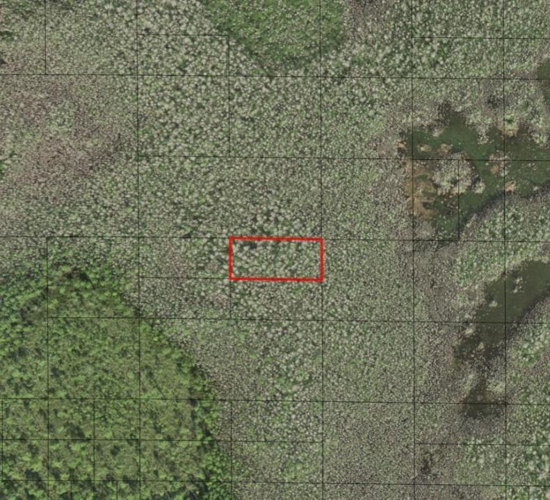 0 Holopaw Groves Road, Florida 34772, USA