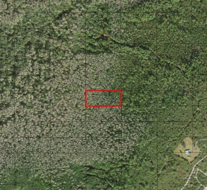 0 Holopaw Groves Road, Floride 34772, États-Unis