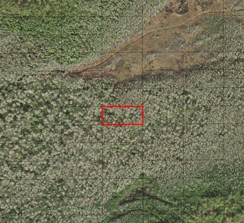0 Holopaw Groves Road, Floride 34772, États-Unis