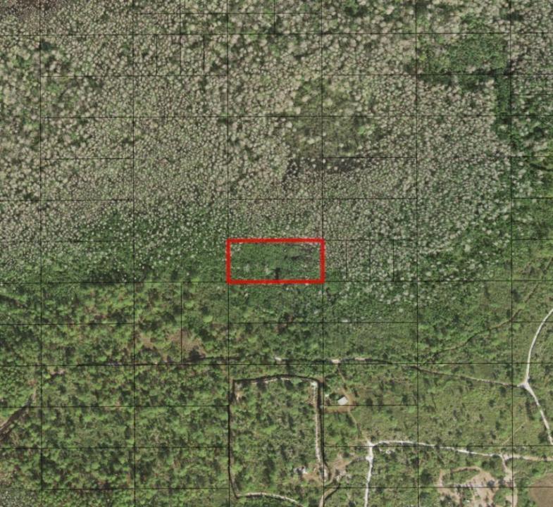 0 Holopaw Groves Road, Floride 34772, États-Unis