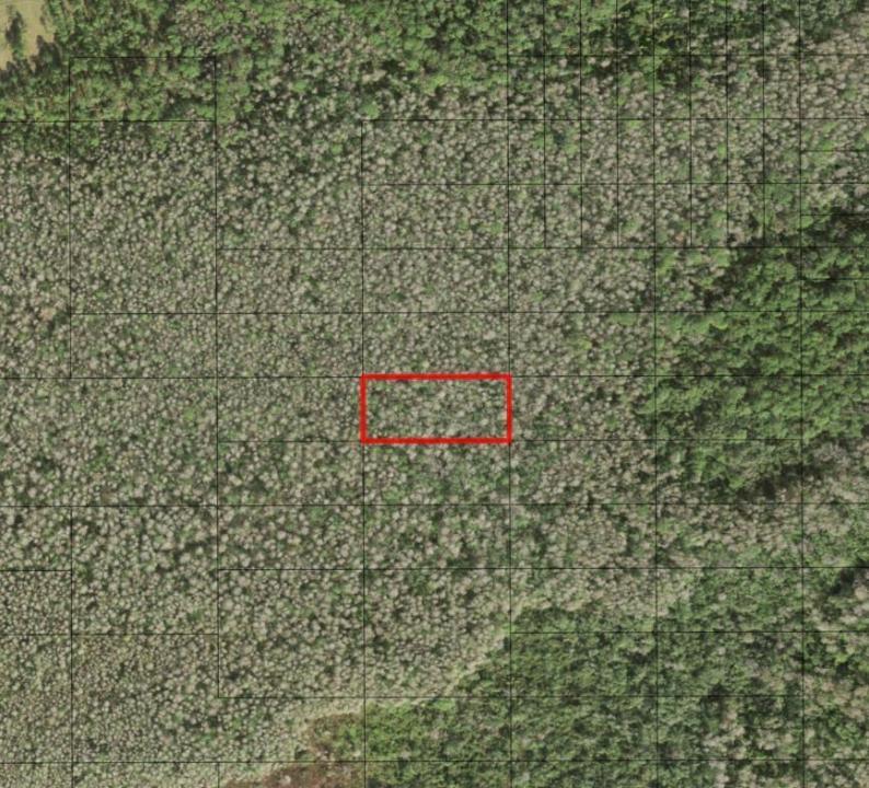 0 Holopaw Groves Road, Florida 34772, Stati Uniti