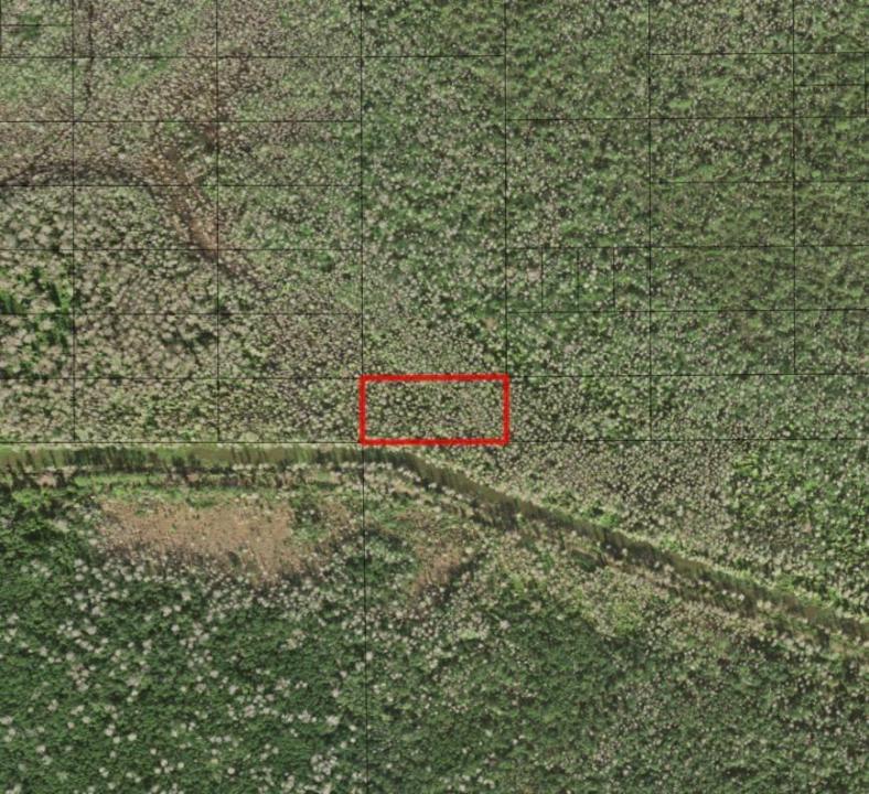 0 Holopaw Groves Road, Floride 34772, États-Unis