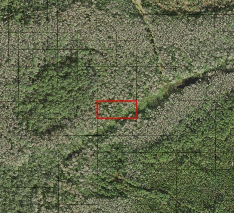 0 Holopaw Groves Road, Floride 34772, États-Unis