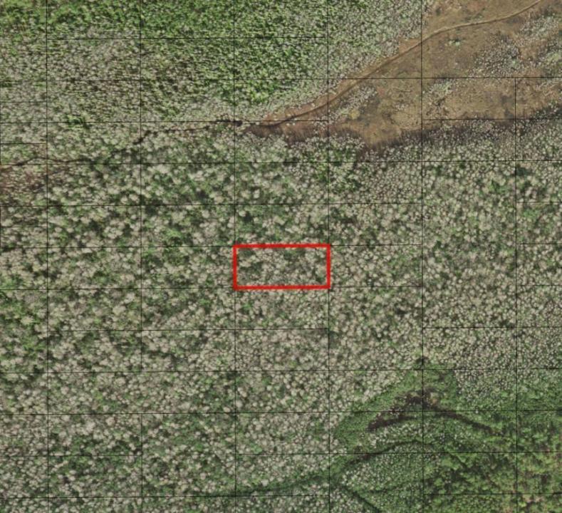 0 Holopaw Groves Road, Florida 34772, USA