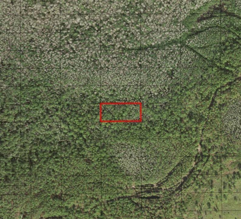 0 Holopaw Groves Road, Floride 34772, États-Unis