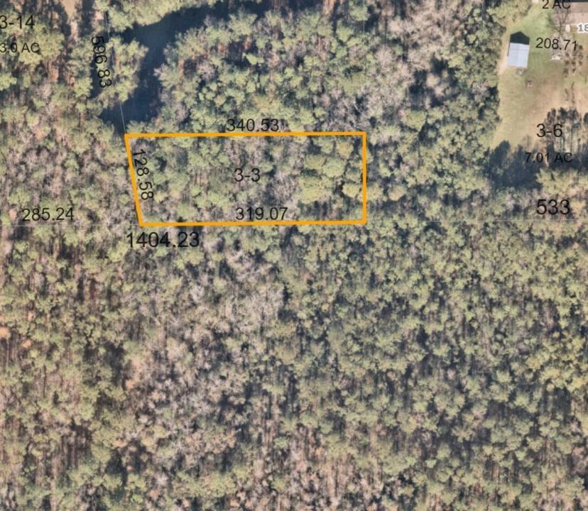 0 Trigg Road, Florida 32046, Stati Uniti