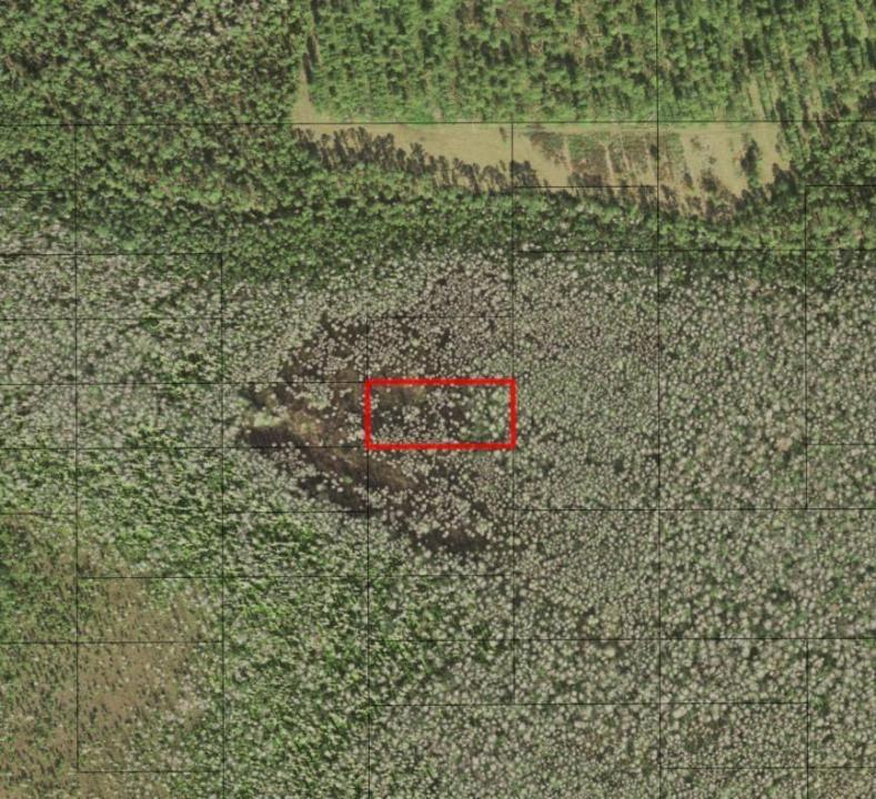 0 Holopaw Groves Road, Floride 34772, États-Unis