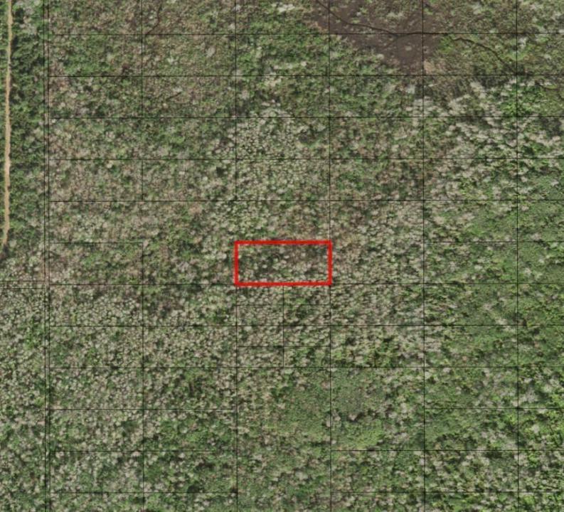 0 Holopaw Groves Road, Florida 34772, USA