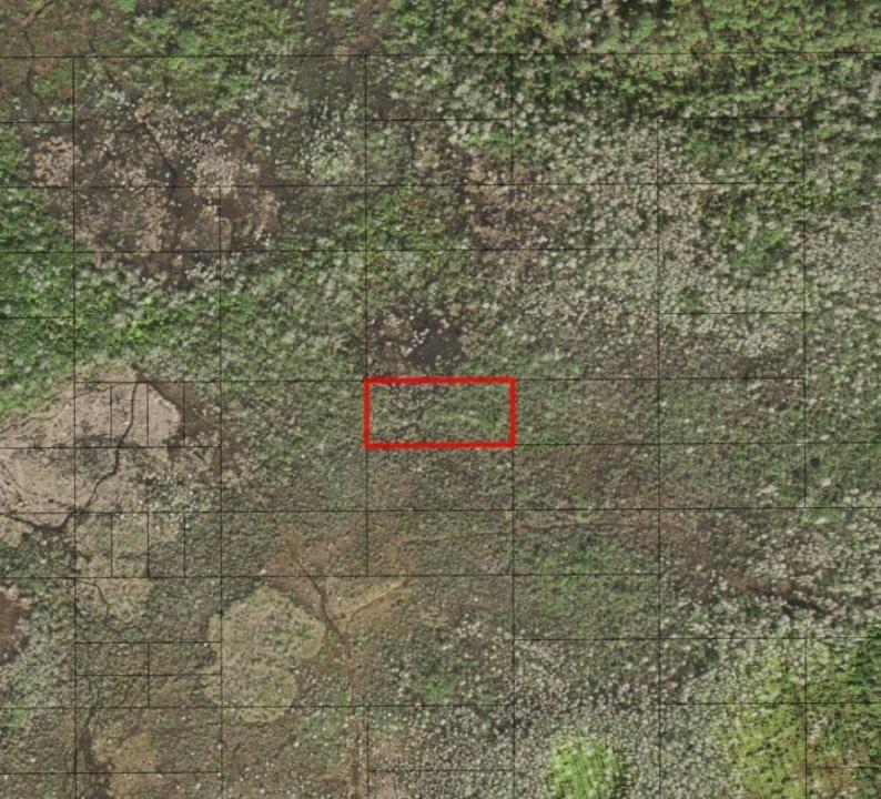 0 Holopaw Groves Road, Florida 34772, Stati Uniti