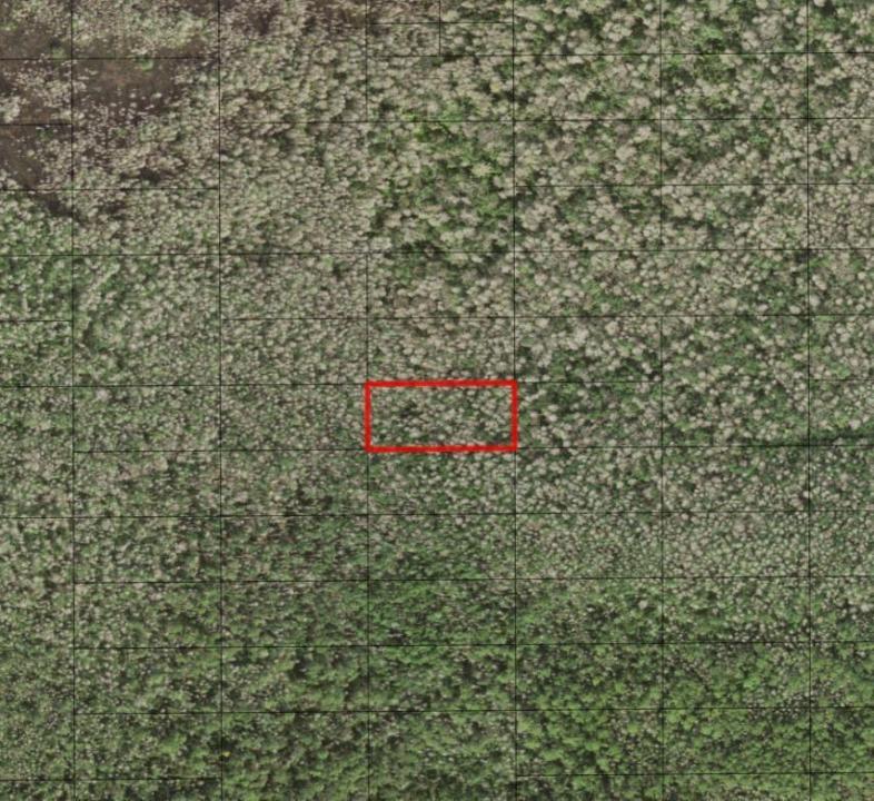 0 Holopaw Groves Road, 플로리다 34772, 미국