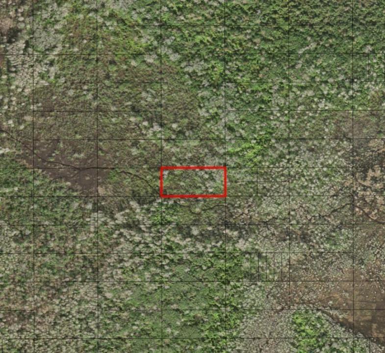 0 Holopaw Groves Road, Floride 34772, États-Unis