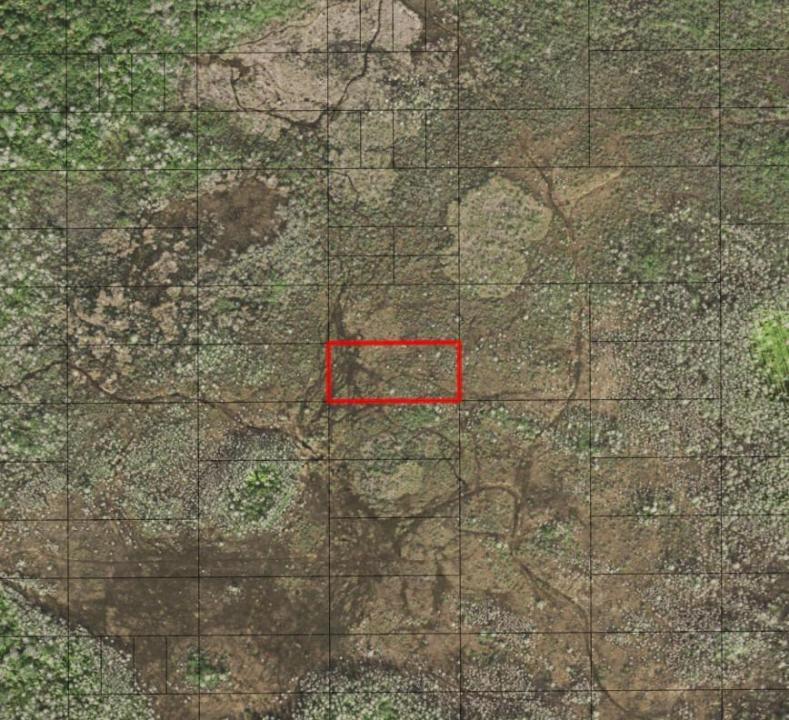0 Holopaw Groves Road, Floride 34772, États-Unis