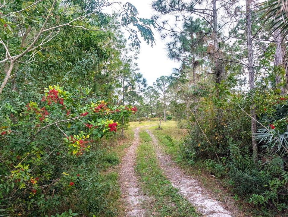 8590 130th Avenue, Fellsmere, Florida 32948, USA