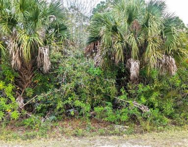 12885 86th Street, Fellsmere, Floride 32948, États-Unis