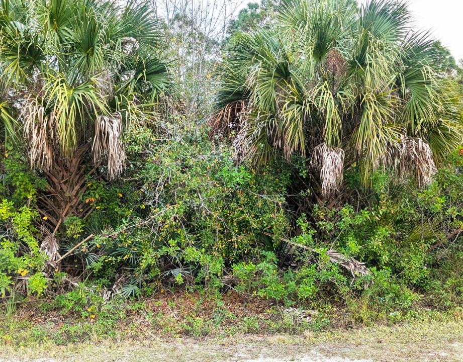 12885 86th Street, Fellsmere, Floride 32948, États-Unis
