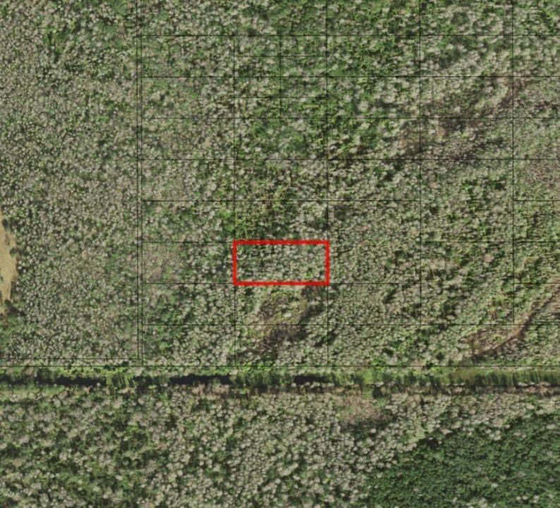 0 Holopaw Groves Road, Floride 34772, États-Unis