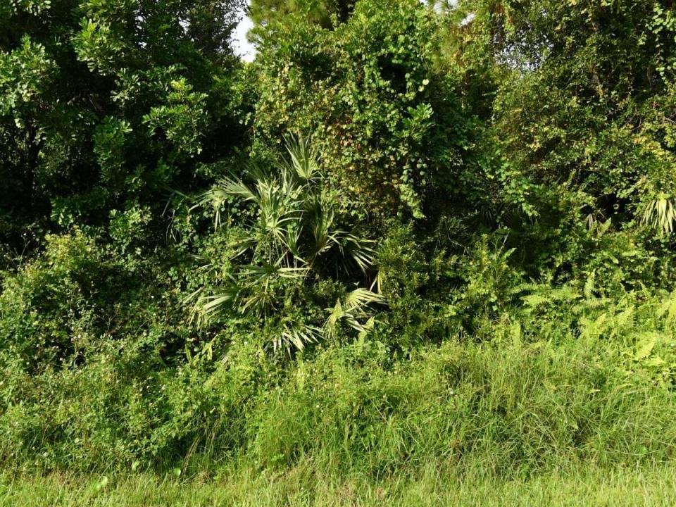 2338 SW Fern Circle, Port St. Lucie, Floride 34953, États-Unis