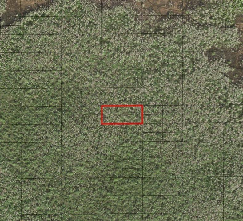 0 Holopaw Groves Road, Floride 34772, États-Unis