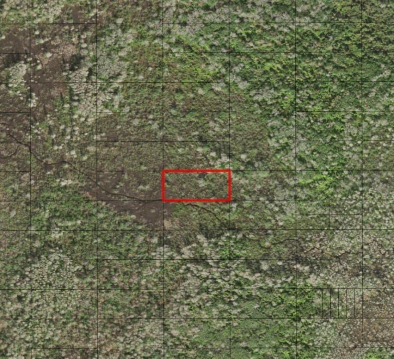 0 Holopaw Groves Road, Floride 34772, États-Unis