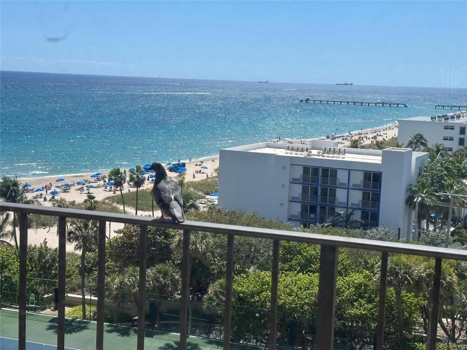 4900 N Ocean Boulevard 1003, Lauderdale By The Sea, Floride 33308, États-Unis