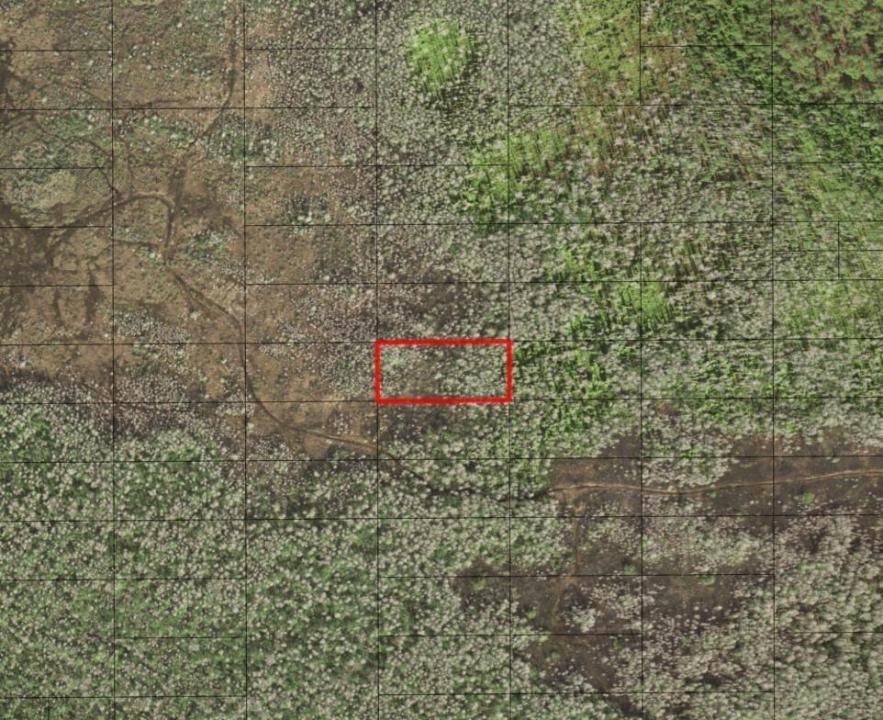 0 Holopaw Groves Road, Floride 34772, États-Unis