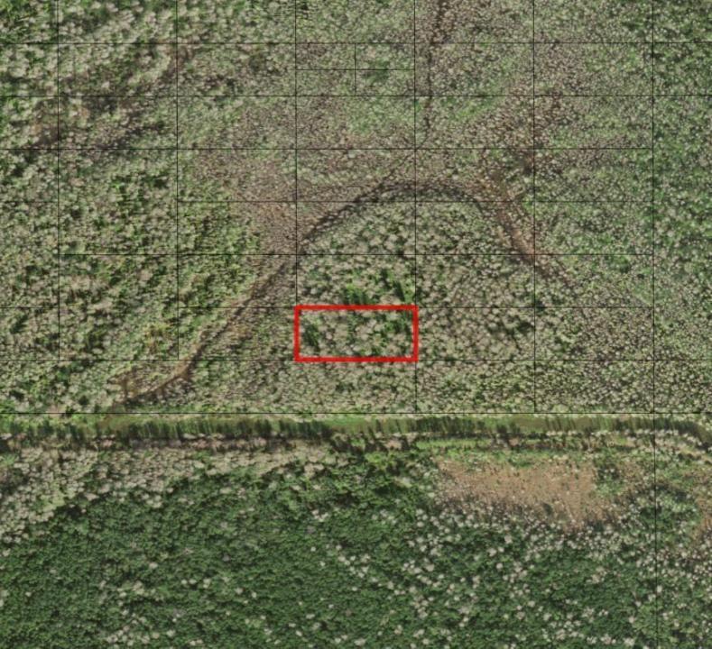 0 Holopaw Groves Road, Floride 34772, États-Unis