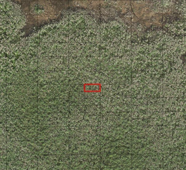 0 Holopaw Groves Road, Floride 34772, États-Unis