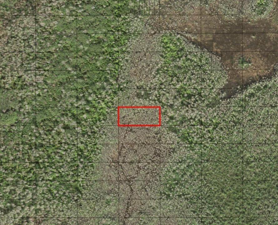 0 Holopaw Groves Road, Floride 34772, États-Unis
