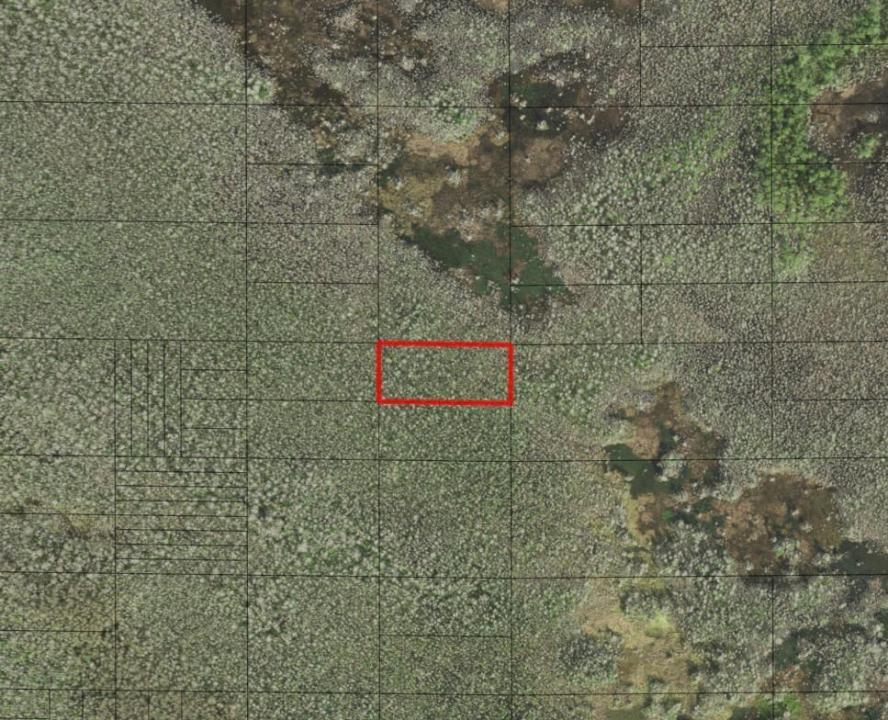0 Holopaw Groves Road, Floride 34772, États-Unis