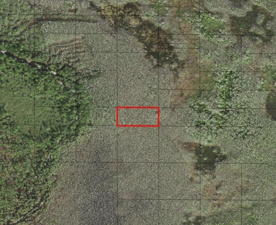 0 Holopaw Groves Road, Florida 34772, USA