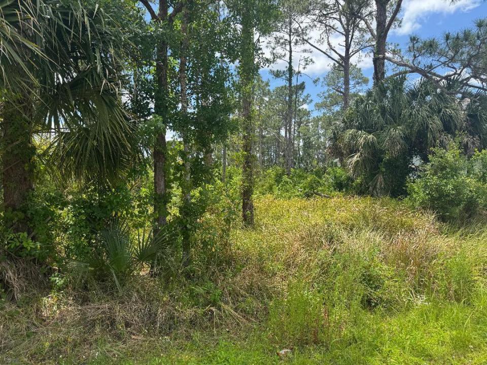 1458 Transcoro SE Street, Palm Bay, Florida 32909, USA