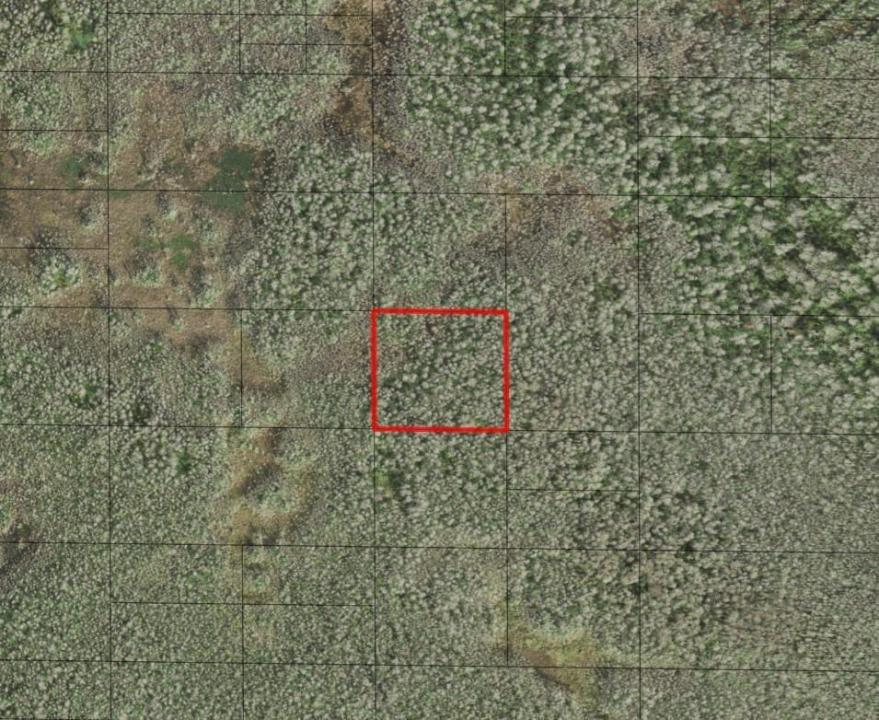 0 Holopaw Groves Road, Florida 34772, USA