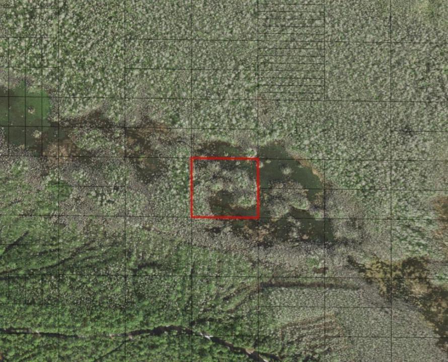 0 Holopaw Groves Road, Florida 34772, Stati Uniti