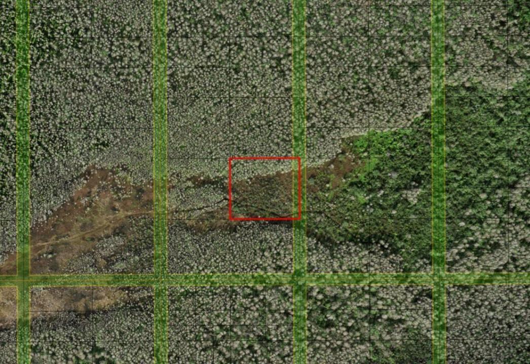 0 Holopaw Groves Road, Florida 34772, Stati Uniti