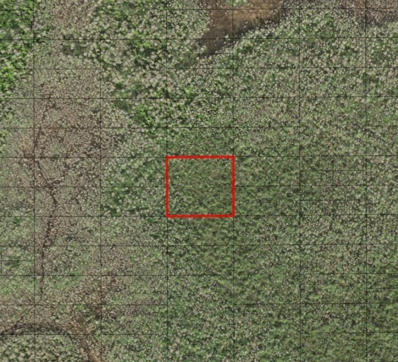 0 Holopaw Groves Road, Florida 34772, USA