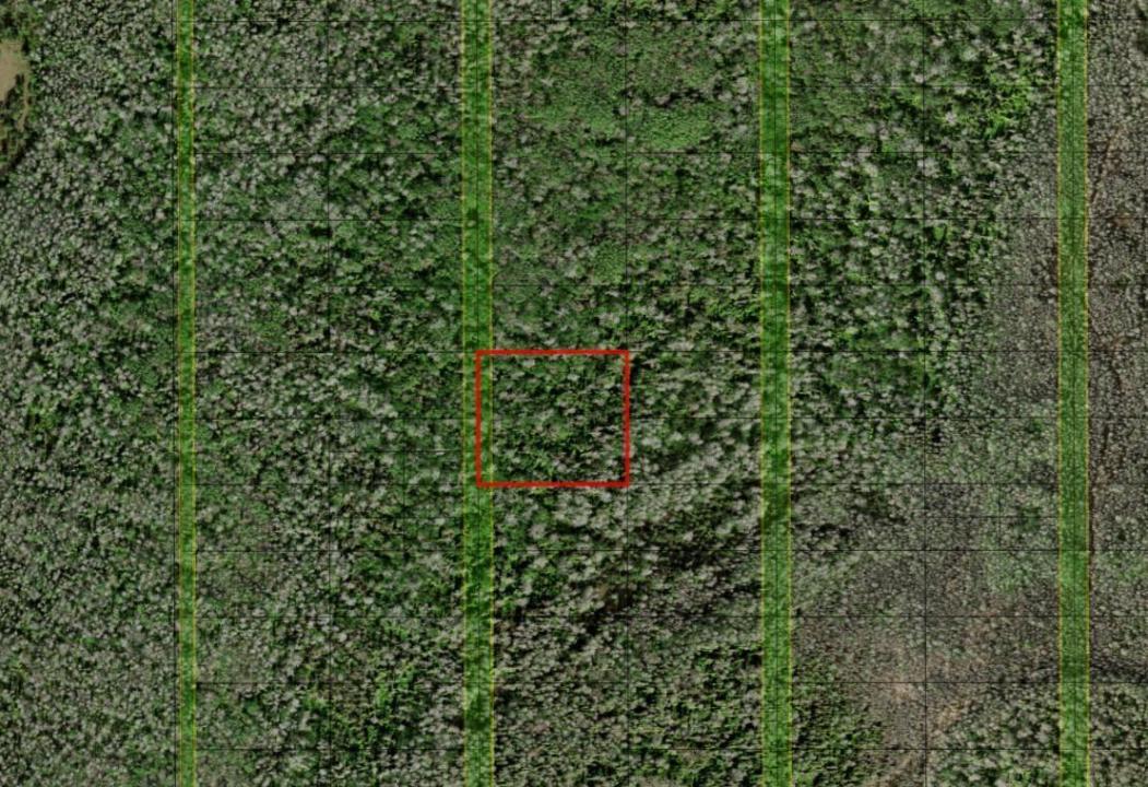 0 Holopaw Groves Road, Florida 34772, Stati Uniti