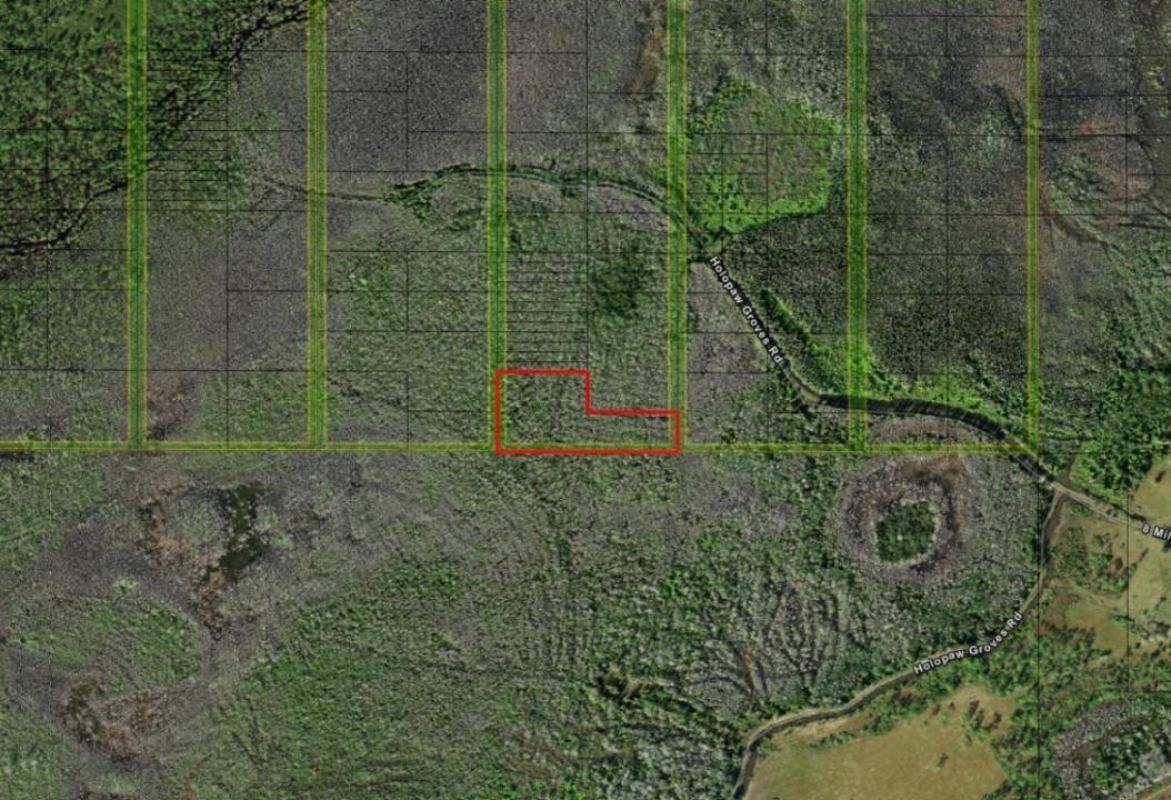0 Holopaw Groves Road, Floride 34772, États-Unis