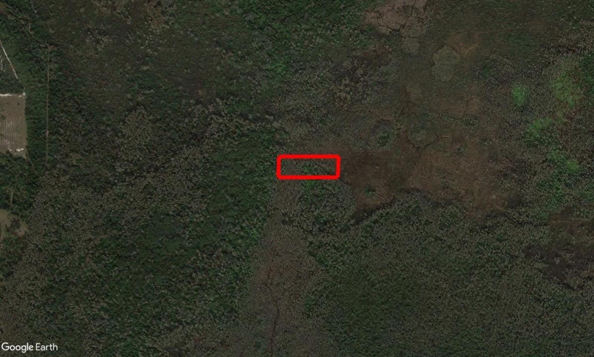 0 Holopaw Groves Road, Floride 34772, États-Unis