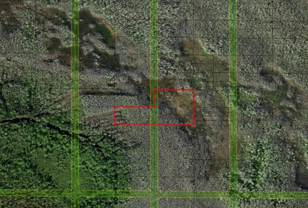 0 Holopaw Groves Road, Florida 34772, Stati Uniti