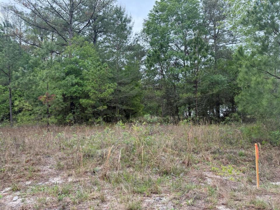 Tbd Maltas Avenue, Floride 32148, États-Unis